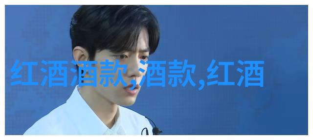 追溯中华文明璀璨中国历史名人榜前100名的学术探究
