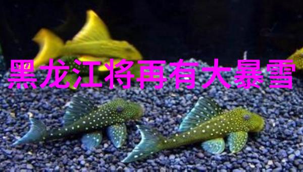 学画人物简约美学习绘制简洁动人的人物图像
