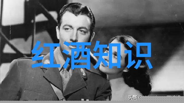 酒文化的深度探索古今中外酒的魅力与意义