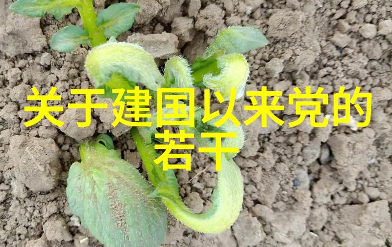 一面亲上边一面膜下边打扑克视频我是怎么在美妆和扑克比赛中兼顾的