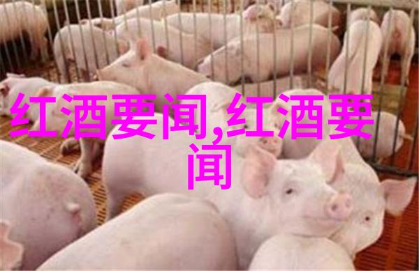 清理电子书籍音乐和视频的方法