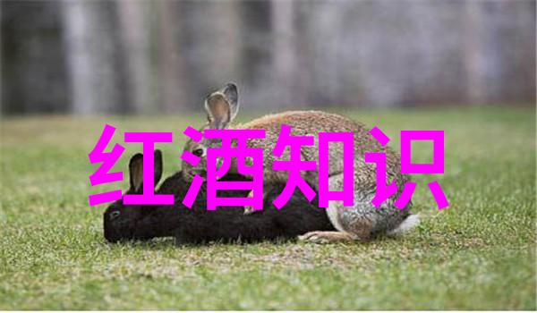 鸡尾酒新手的调酒指南