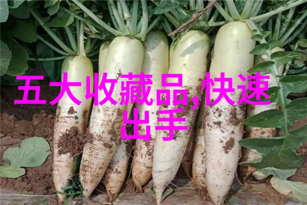收藏界杂志-珍品探索揭秘收藏界顶尖刊物