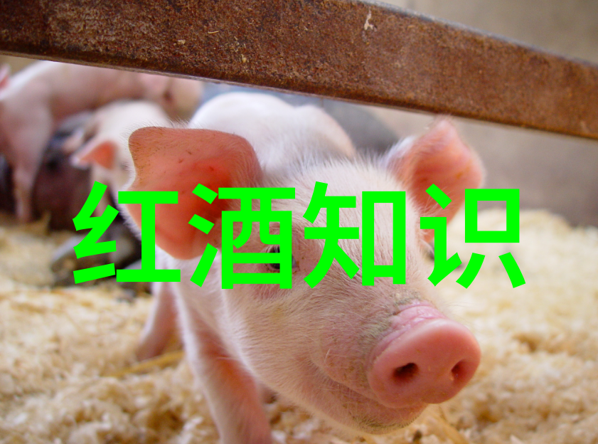 红酒注册商标属于嘉科萨酒庄