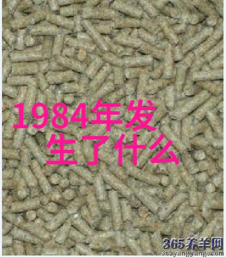 如果我的回答质量高对于我的收益会有所提升吗
