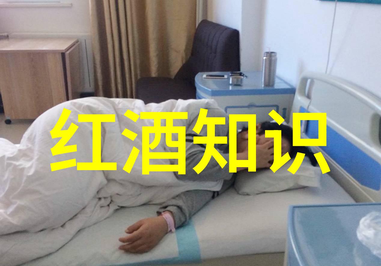 马里兰州的阿根廷红酒之旅从酿造到品鉴探索这片美酒的绿洲