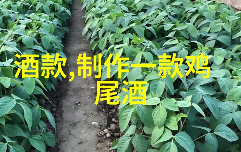 玉米種植技巧與配套產品推荐