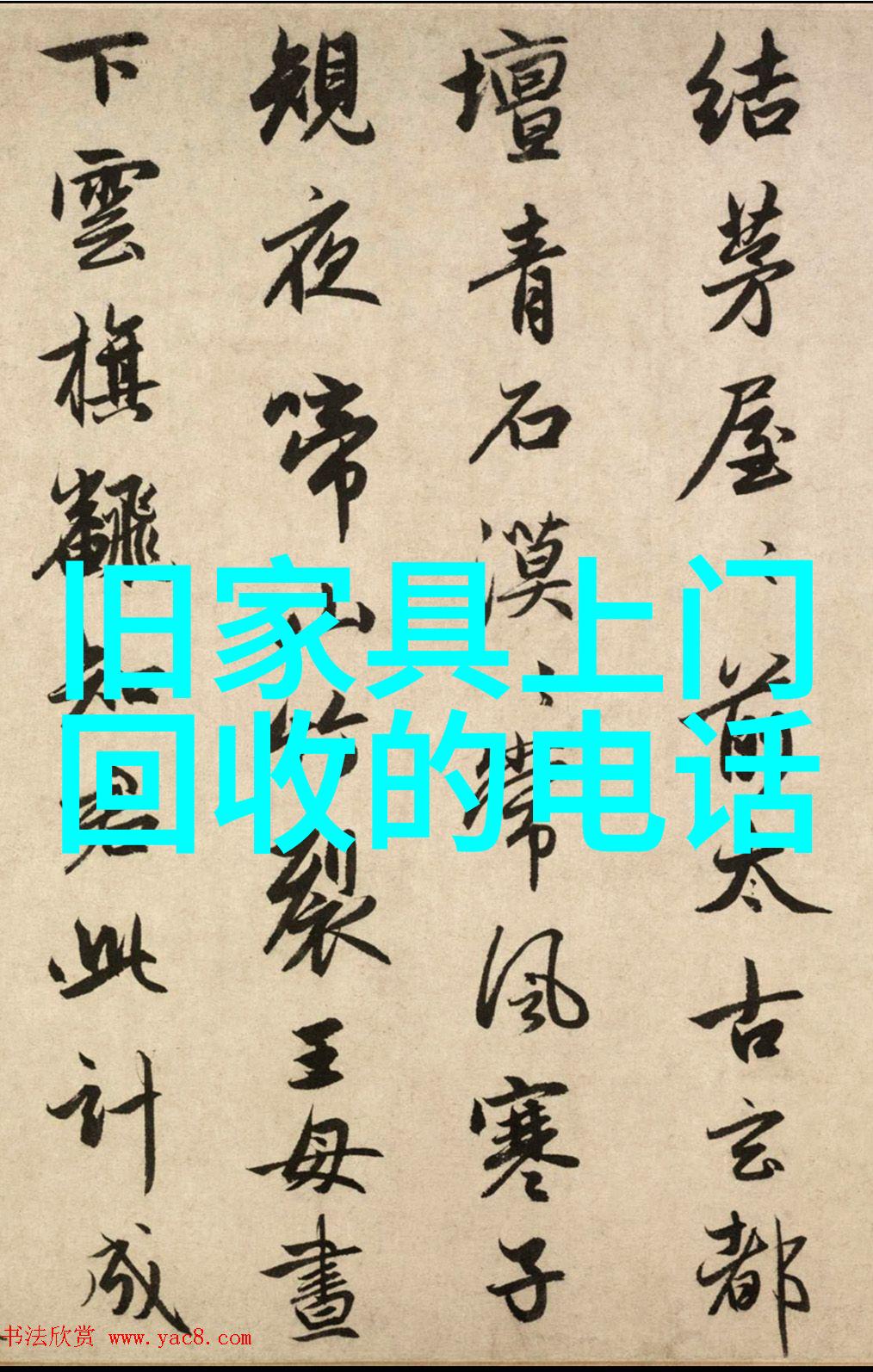 玫瑰花的多样盛宴百合族月季族地中海玫瑰等