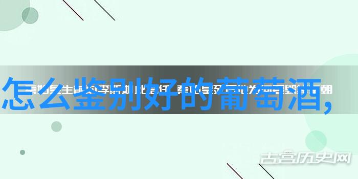 智慧答题新篇章扫一扫软件革新教育体验