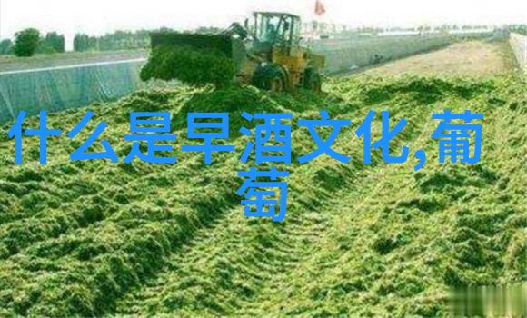 这些葡萄酒认识误区你中招了吗