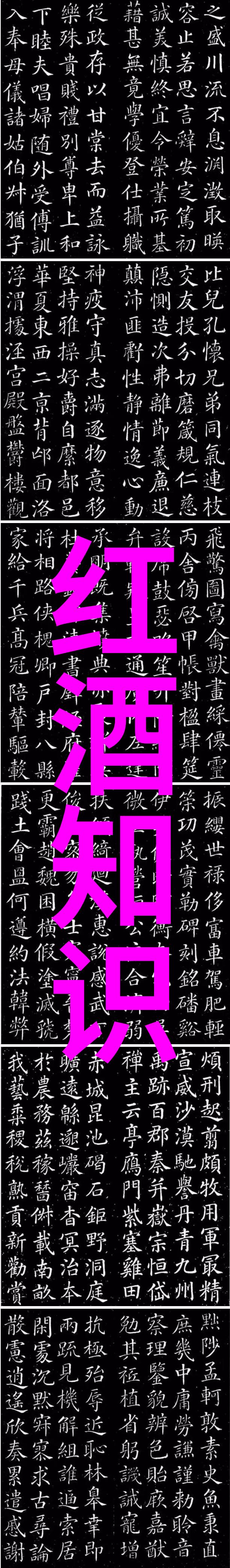 周边-探索身边世界的奇迹未知领域的发现与思考