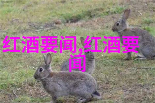 在逆境中成长出的英雄们又有哪些故事值得我们铭记呢