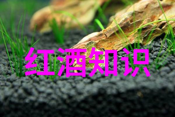 任务发布系统的重要性及其在现代工作环境中的应用