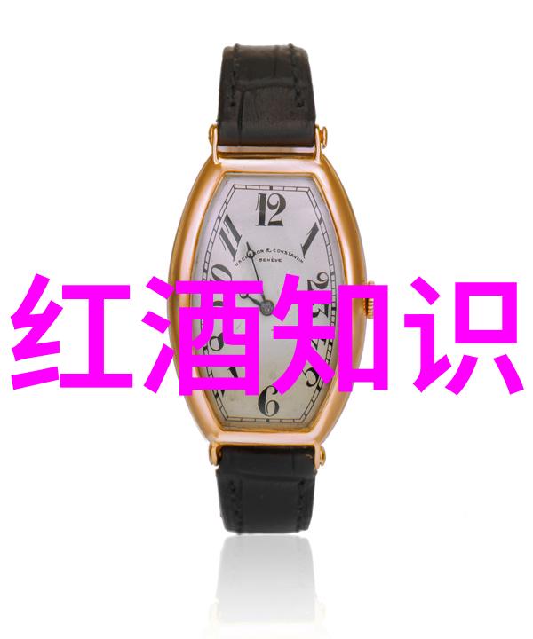 葡萄酒之都揭秘法国十大产区的浪漫与严谨