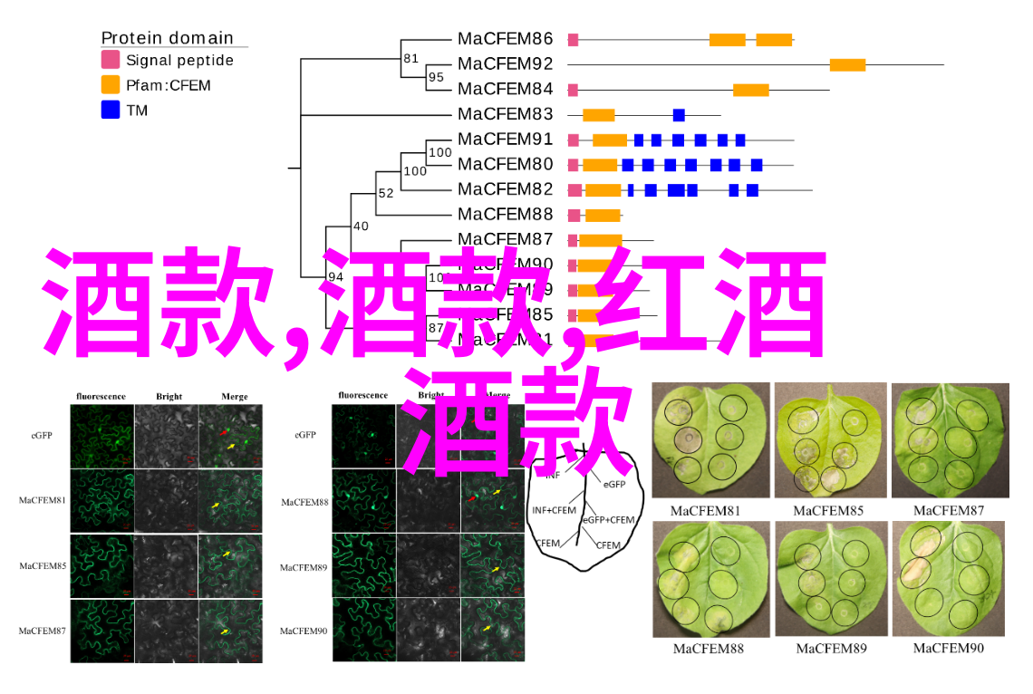 删除误删的照片恢复方法图片恢复软件使用指南