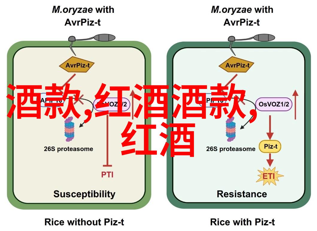醉心于红酒从初学者到专家的一路奇遇