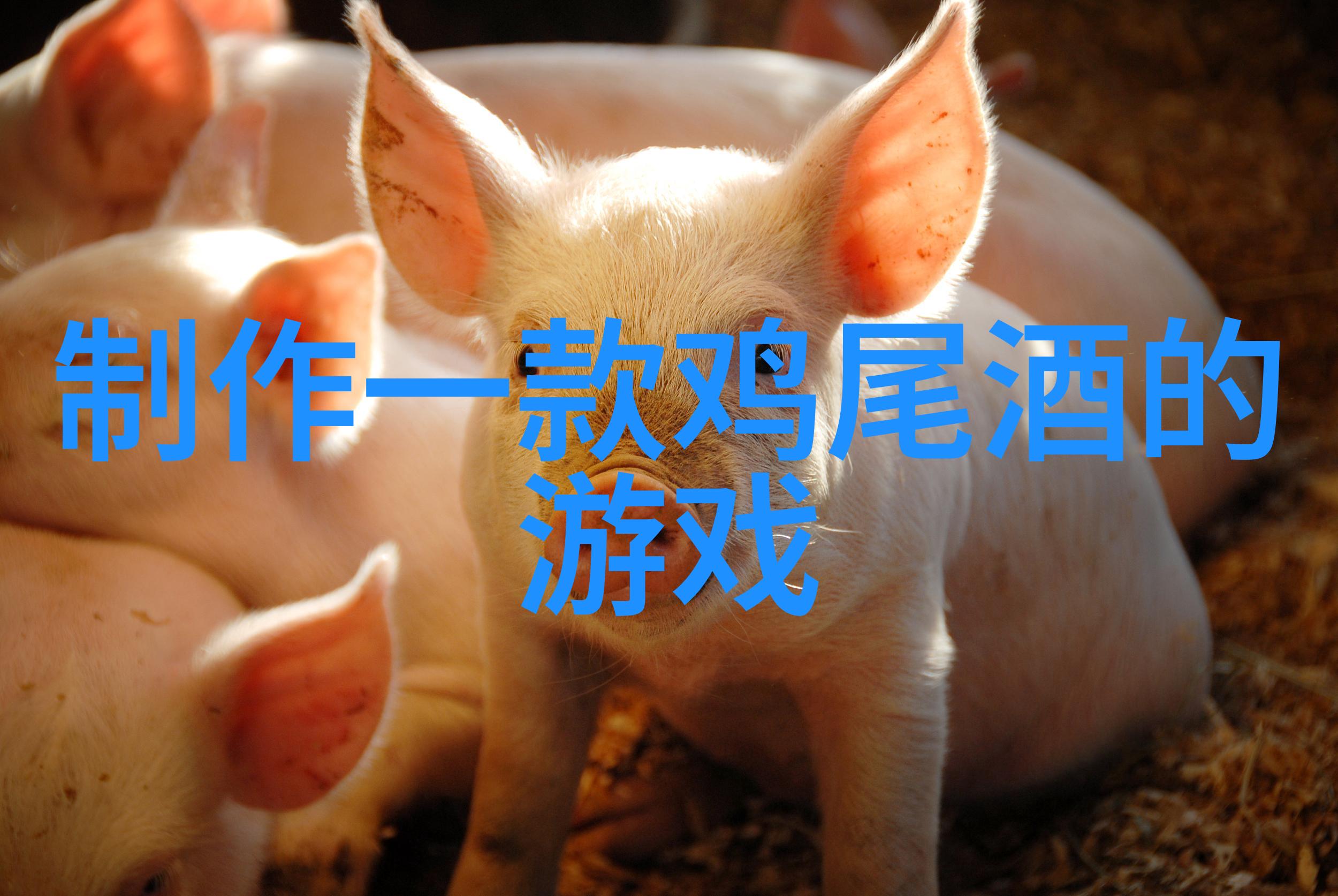 玫瑰的丰富多彩探索其千余种品种
