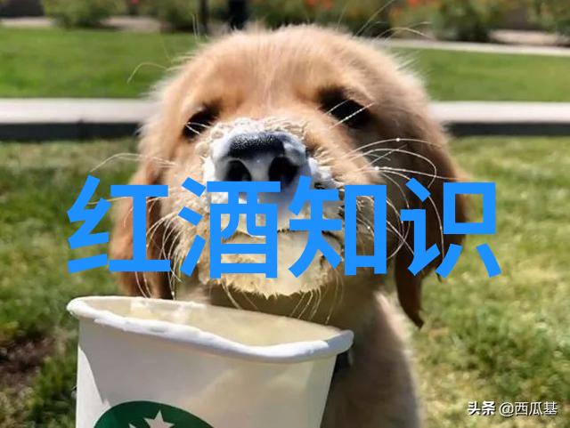 为了美食而生的土地探索那些为世界级菜肴提供原料的地理标志性葡萄酒老产区