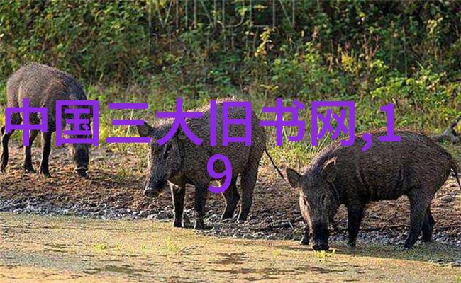 机器聪明如何构建高效的基于n智能问答系统