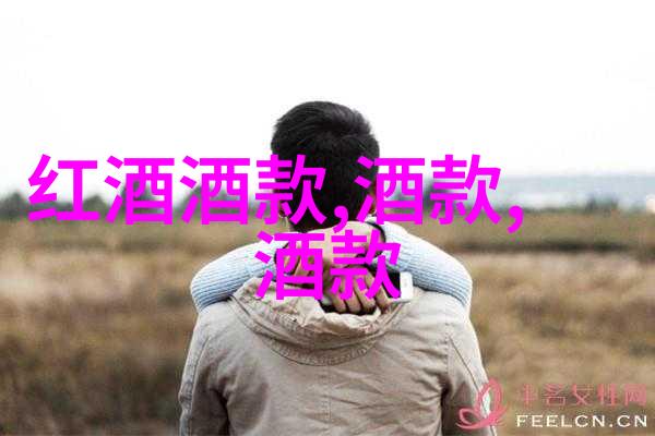 探秘世界免费之都哪些城市让你可以无缴费游览