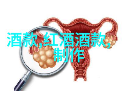 重生之深度诱入揭秘命运的轮回与灵魂的探索