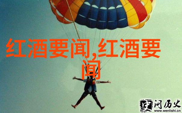 法国葡萄酒的神秘魅力在勃艮第的醉心之旅