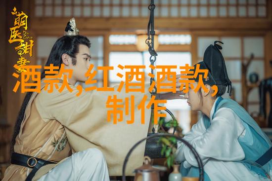 探索我和巴勒斯坦的历史故事从冲突到和解