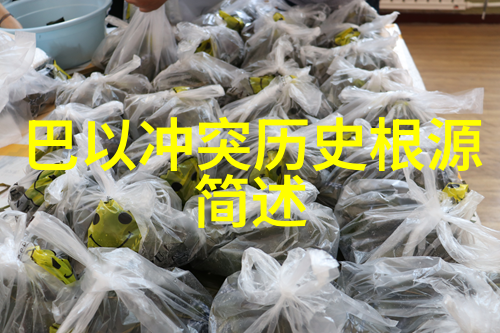 揭秘高产优质现代农业中的杰出玉米品种展示