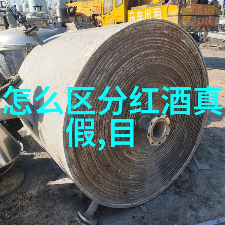 哈尔滨冬季游记体验东北的冰雪世界