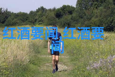 玉米品种的丰富系列从古老到现代的金黄色珍宝