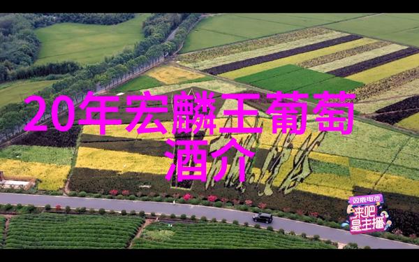 2023小鸡庄园最新的答案那些隐藏在蛋壳下的秘密是什么