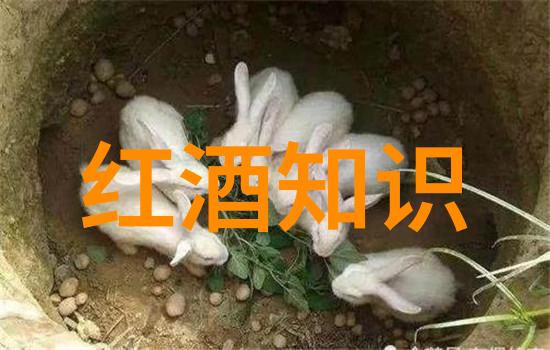 绿茶与黑茶有什么区别呢