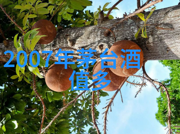 文化与食物之间不同地区所培育出的独特玉米品种有什么区别