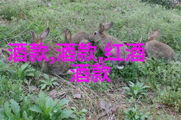 成都周边自驾一日游探索四川美景的最佳行程