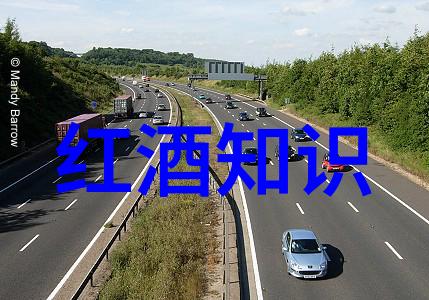 猫咪品种鉴定系统一种基于深度学习的智能决策支持工具