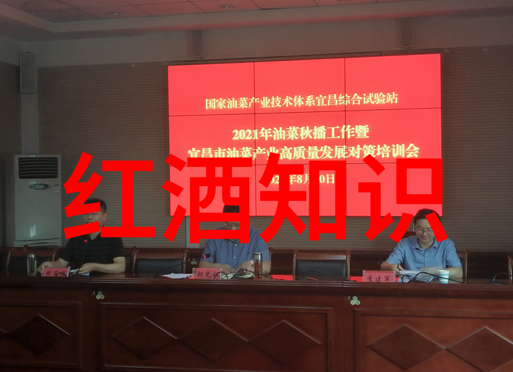 柿子成熟的喜悦岁岁年年柿柿红的温馨回忆