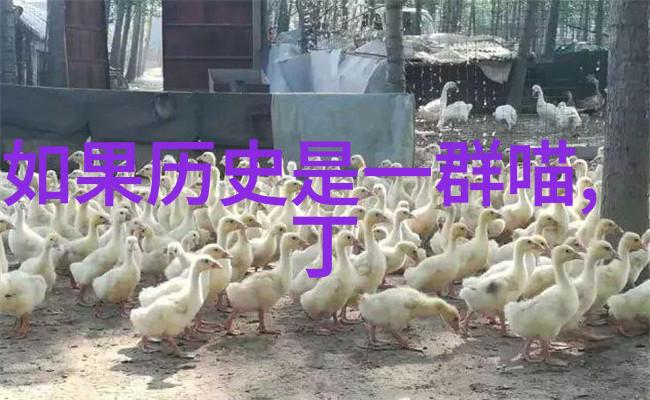 色彩斑斓的卡通世界简笔画带来的无限想象力