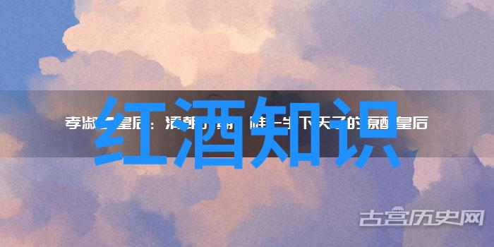 醉心于酒解读中华酒文化的深度与魅力