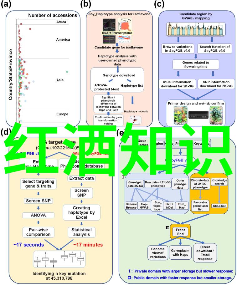 文化交流东西方艺术对话的历史轨迹