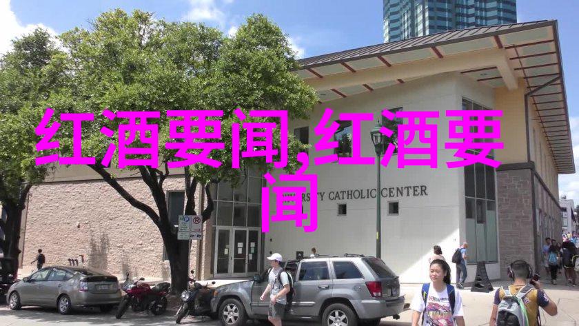 历史记录查看方法深入了解如何查询和分析过去事件