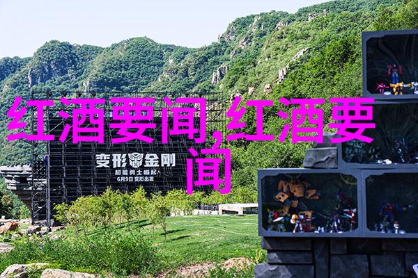 西班牙葡萄酒十大产区揭秘古老的醉梦与未解之谜