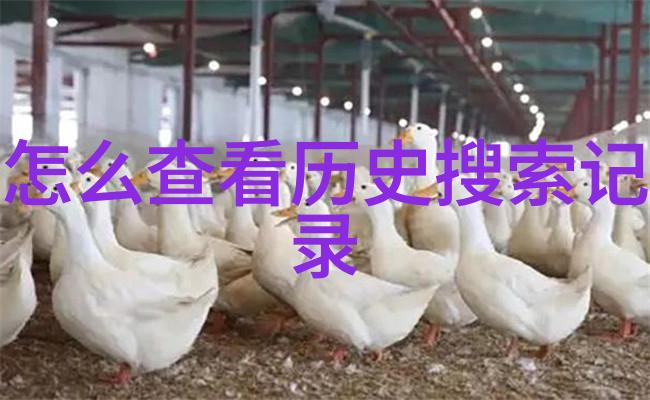 卡通少女的世界之旅