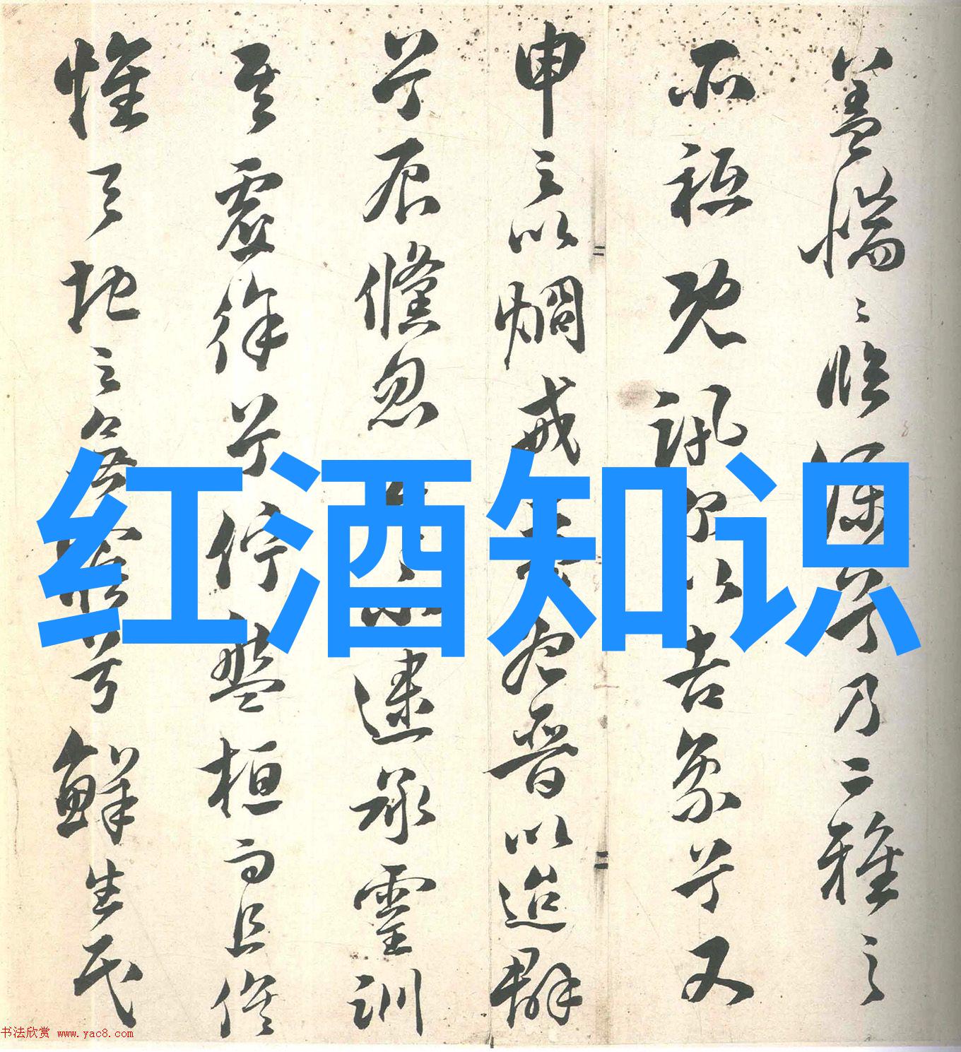 最新小鸡庄园答案-揭秘养鸡高效的绝密技巧
