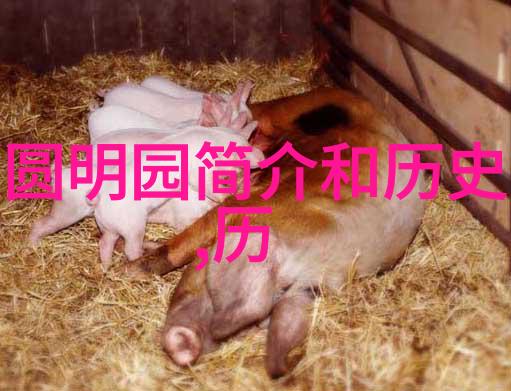 茶香迷雾揭秘古老茶道中的未解之谜