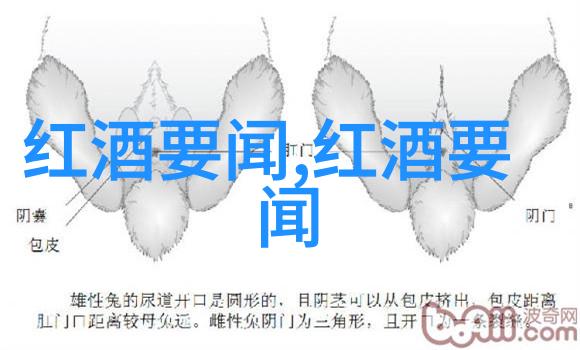豪宅别墅中的巴斯克葡萄酒庄园Vina Los Vascos