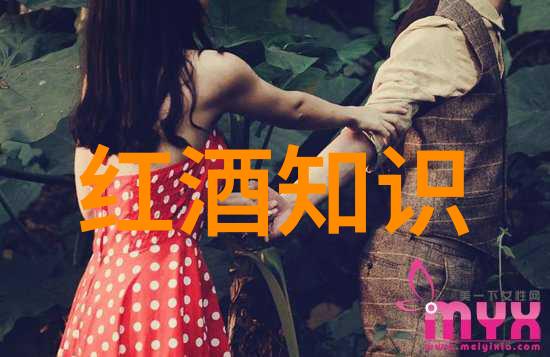 玉米品种都有什么系列我来告诉你这些超级美味的玉米秘密