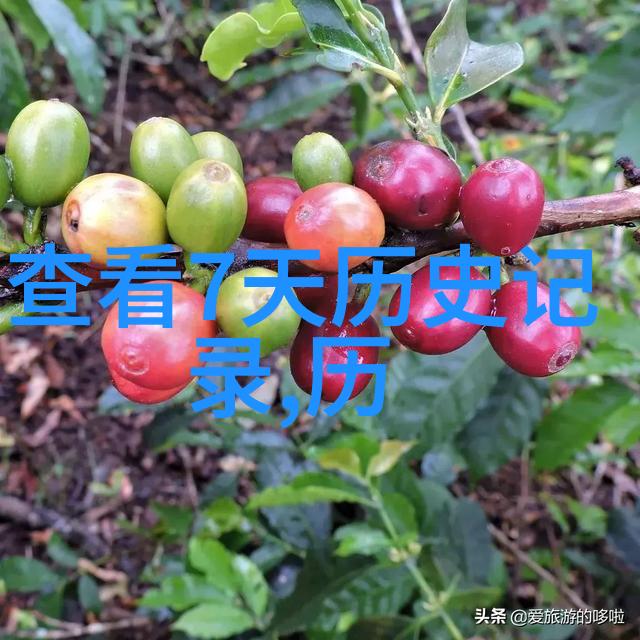 古老庄园的分布探索中世纪土地使用之密度