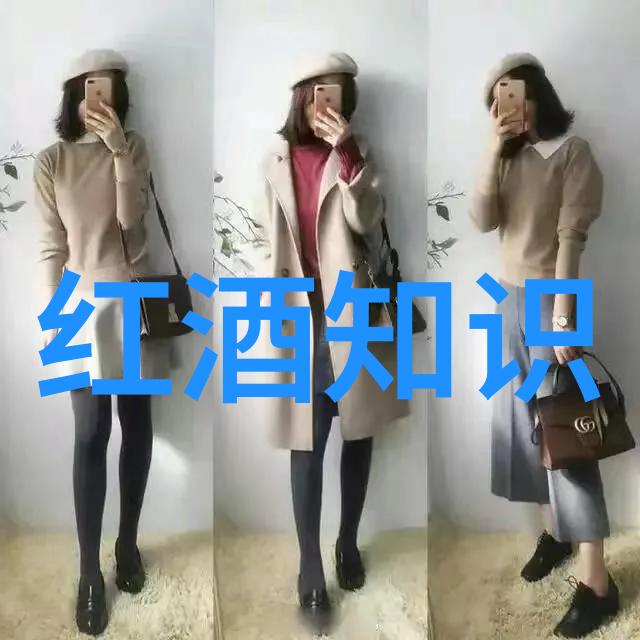 在虚拟的信息海洋中搜寻真理的灯塔百度知道的踪迹