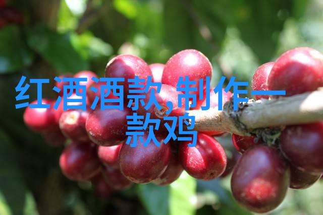 妇女健康咨询免费问诊服务解锁健康之谜