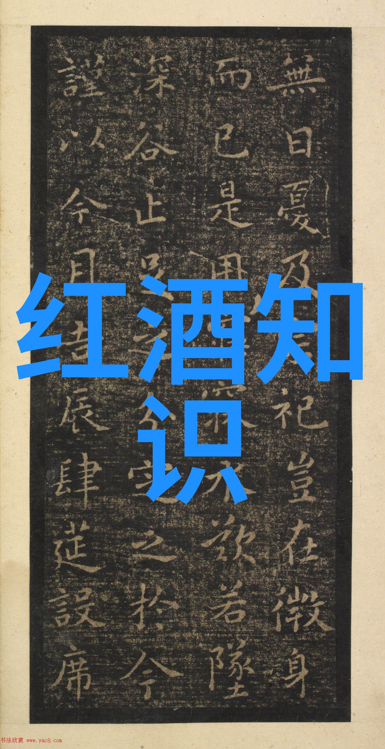 狸花猫和美短在保养上有何差异